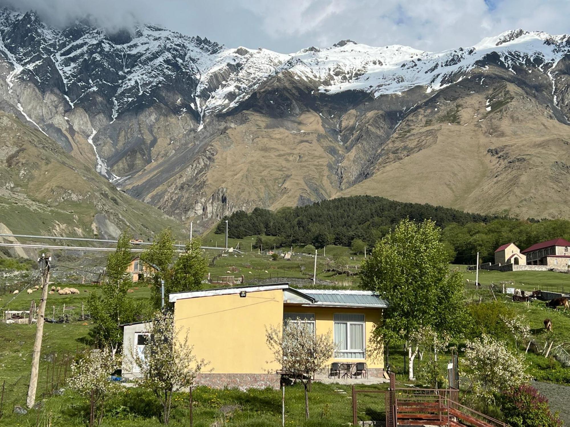 Mountain Kazbegi Apartment Exterior photo